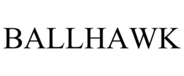 ballhawk