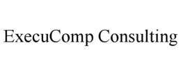 execucomp consulting
