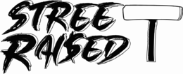 street raised
