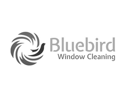 bluebird window cleaning