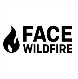 face wildfire