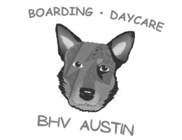 boarding daycare bhv austin