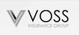 v voss insurance group