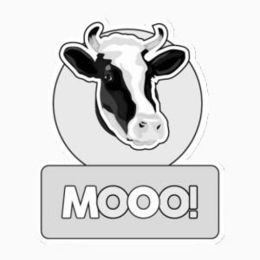 mooo!