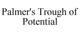 palmer's trough of potential