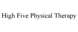 high five physical therapy