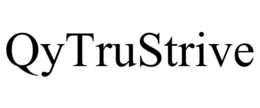 qytrustrive