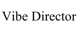 vibe director