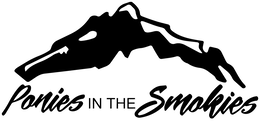 ponies in the smokies