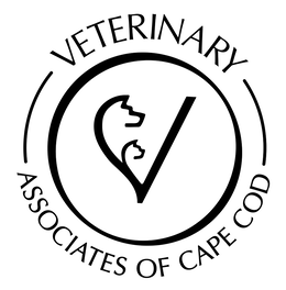 veterinary associates of cape cod
