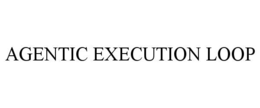 agentic execution loop