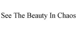 see the beauty in chaos