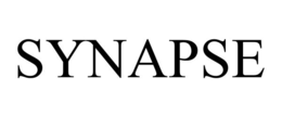 synapse
