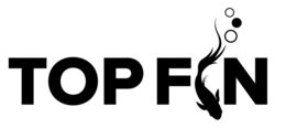 top fin