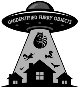 unidentified furry objects