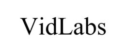 vidlabs