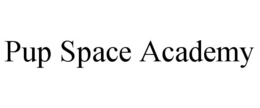 pup space academy