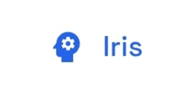 name of the ai agent and the logo.  font is arial.
