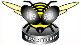 buzz hockey