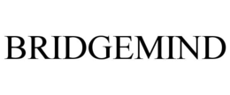 bridgemind