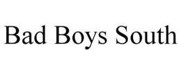 bad boys south
