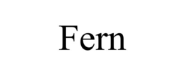 fern