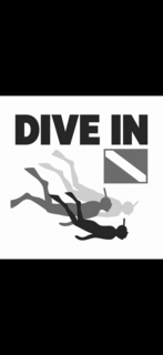 dive in