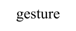 gesture