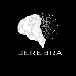 cerebra