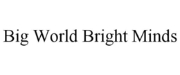 big world bright minds