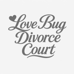 love bug divorce court