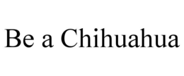be a chihuahua