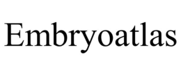 embryoatlas