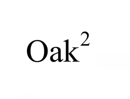 the word oak featuring the number 2 in superscript, denoting squared. the superscript 2 is positioned in the upper right-hand corner of the letter "k."