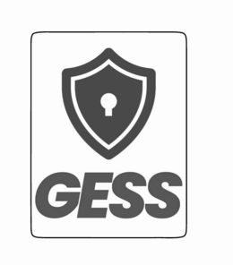 gess