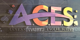 aces assess cultivate evolve sustain