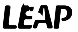 leap