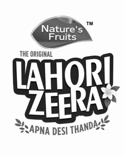 nature's fruits tm the original lahori zeera apna desi thanda