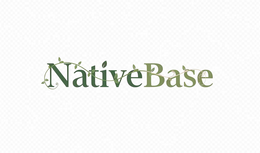 nativebase
