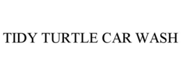 tidy turtle car wash
