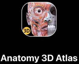 3d anatomy 3d atlas