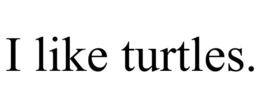 i like turtles.