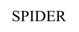 spider