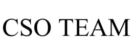 cso team