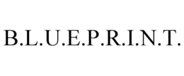 b.l.u.e.p.r.i.n.t.