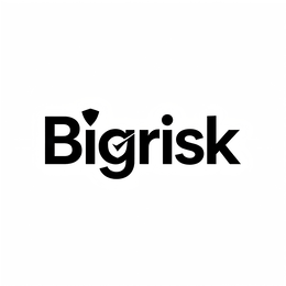bigrisk