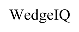 wedgeiq