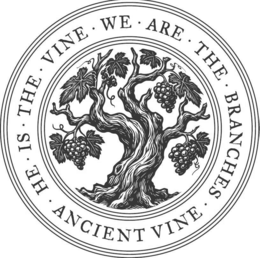 he is the vine · we are the branches · ancient vine ·