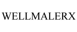 wellmalerx