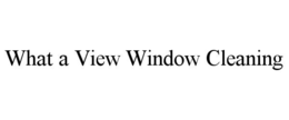 what a view window cleaning
